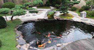 pond design small koi fish in garden for ponds design ideas - youtube FDAZIOP