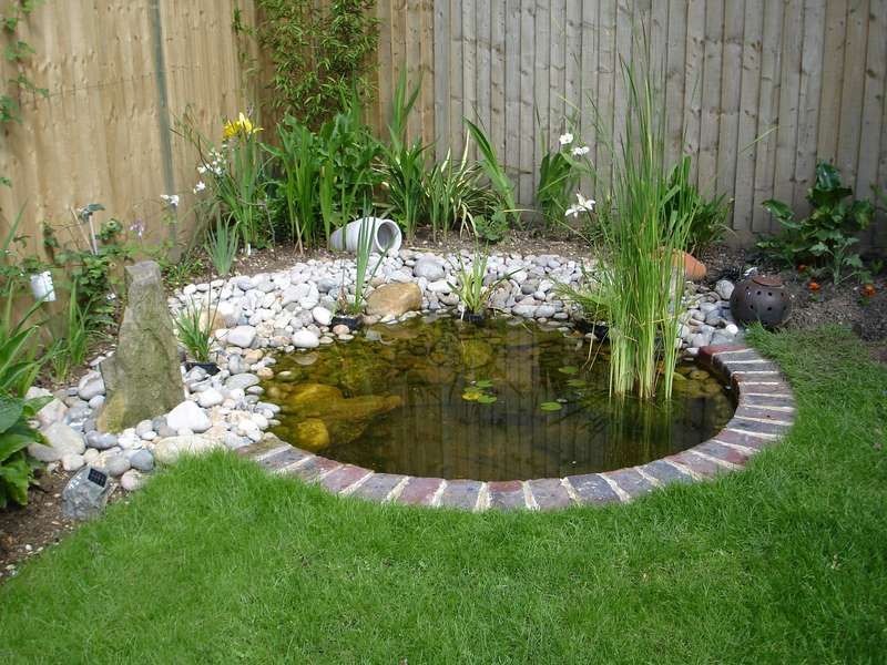 pond design small pond designs | small pond .... please save this pin! .... HIWHPNN