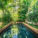 pool landscaping brick swimming pool and tropical plants JWFQLFV