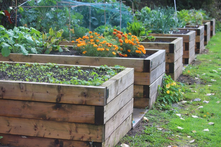 raised bed gardening 14 reasons why raised beds are the best way to garden ROEJBPX