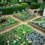 raised bed gardening 15 raised garden bed ideas | hgtv QFOCFTH