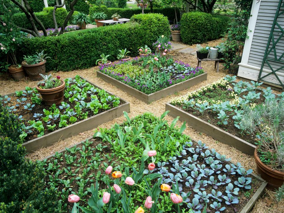 raised bed gardening 15 raised garden bed ideas | hgtv QFOCFTH