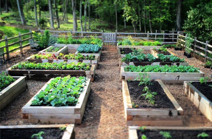 raised bed gardening BGKCFOJ