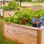 raised bed gardening ONGRMIA