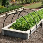 raised bed gardening raised beds with lettuce vegetable gardening ... WOOBHRE