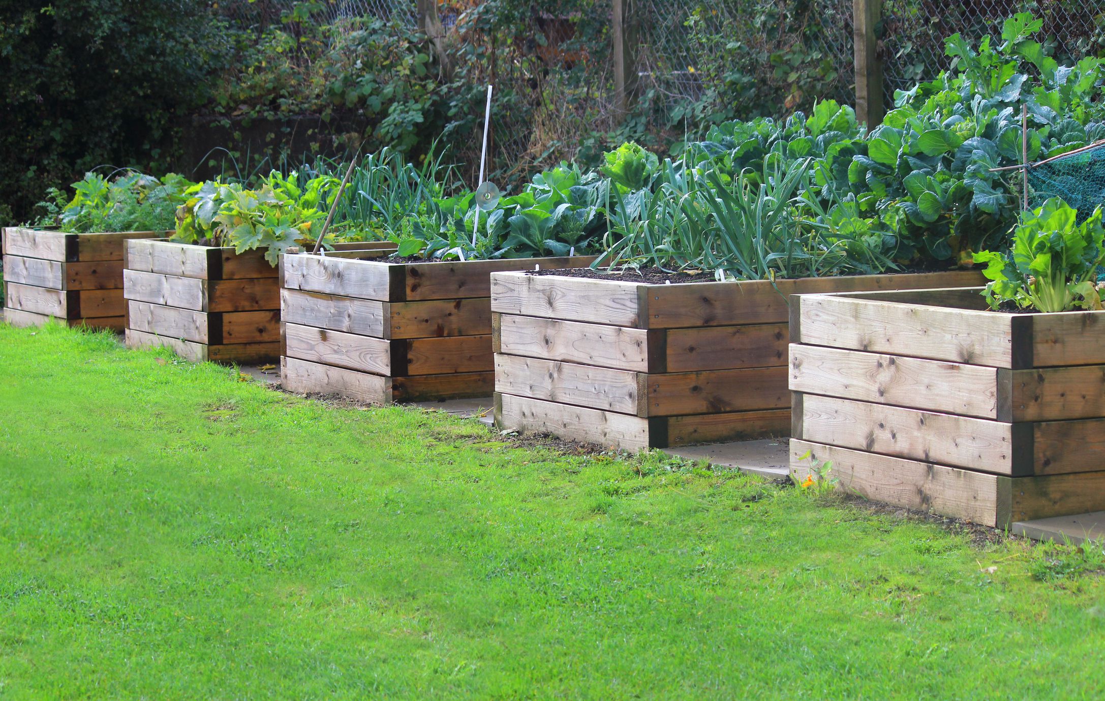 raised bed gardening raised garden beds VSHPUBS