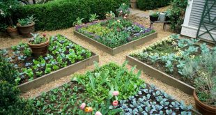 raised bed gardens 15 raised garden bed ideas | hgtv DPESSAR