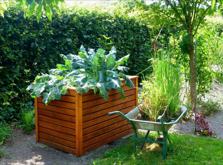 raised bed gardens raised bed garden-3 HSNJRSI