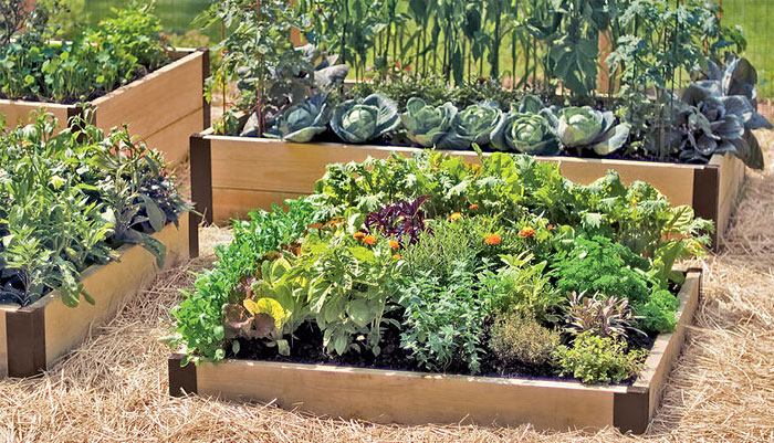 raised bed gardens raised beds used to make a kitchen garden RMCHKRK