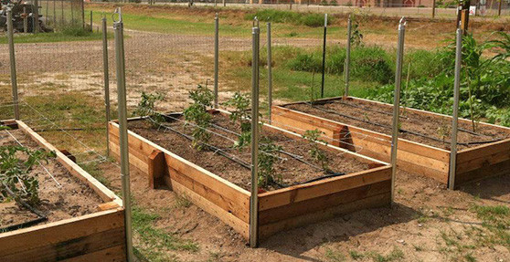 raised bed gardens raised garden beds HUHOLIK