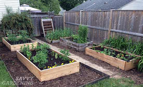 raised bed gardens RPDFVDE