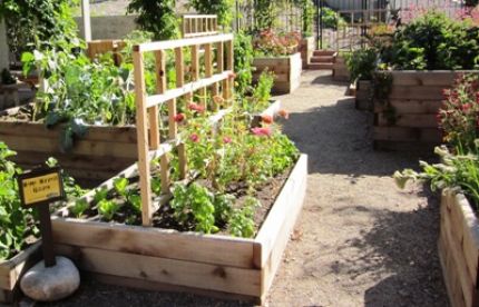 raised bed gardens the home harvest garden, part of the mordecai childrenu0027s garden, features DRHULTP