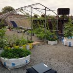 roof garden design vegetable roof garden garden design calimesa, ca WZYVJMN