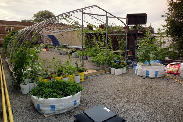 roof garden design vegetable roof garden garden design calimesa, ca WZYVJMN