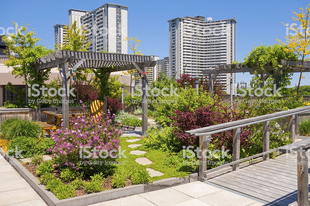 roof garden on top of apartment building stock photo TFVZFEW