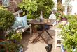 small garden ideas 20 potted-plants-various-sizes-small-garden-ideas keith henderson FAVGDLH