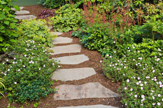 stepping stones HINTJLE