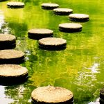 stepping stones how a stepping-stone role can help you make your career change | WTTKIAO