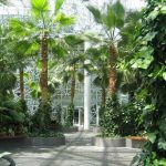 the best indoor gardens in chicago NTGAHTL