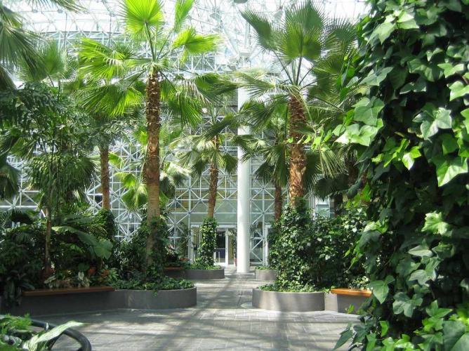 the best indoor gardens in chicago NTGAHTL