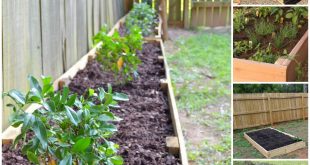 these raised garden bed ideas are so easy and clever, i want QTHWQSI