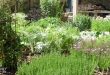 vegetable garden design how to plan a vegetable garden: design your best garden layout ZDPBQBI