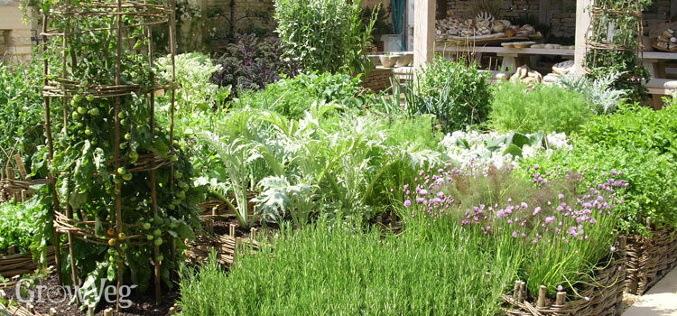 Planning Your Own Vegetable
Garden Design