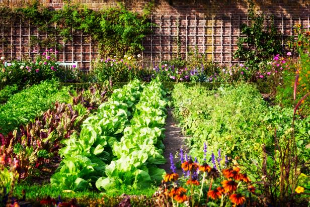 vegetable garden design ideas TVZPHQG