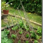 vegetable garden design ornmental teepee trellis in a garden design CNALJBU