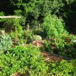 vegetable garden design vegetable gardens garden design calimesa, ca DHWHMBQ