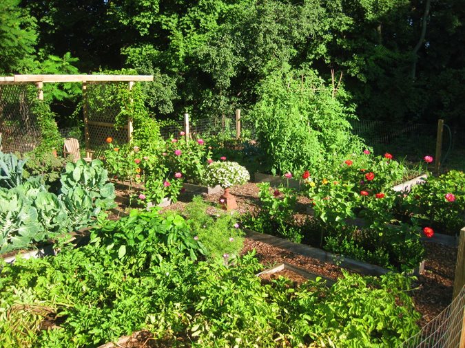 vegetable garden design vegetable gardens garden design calimesa, ca DHWHMBQ