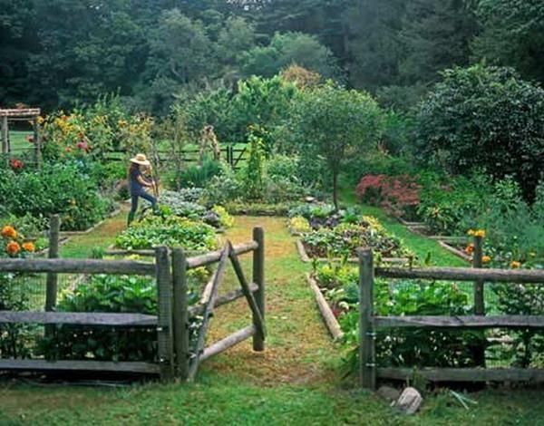 vegetable garden design with wooden fence UCTHGQD