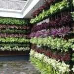 vertical garden AXNECUC