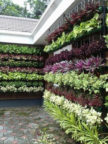 vertical garden AXNECUC