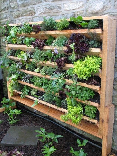 vertical garden ideas 20 excellent diy examples how to make lovely vertical garden IPZMYDQ