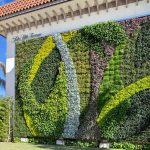 vertical garden ideas 6 beautiful vertical gardens ideas | gsky living green walls ZEEUEFB