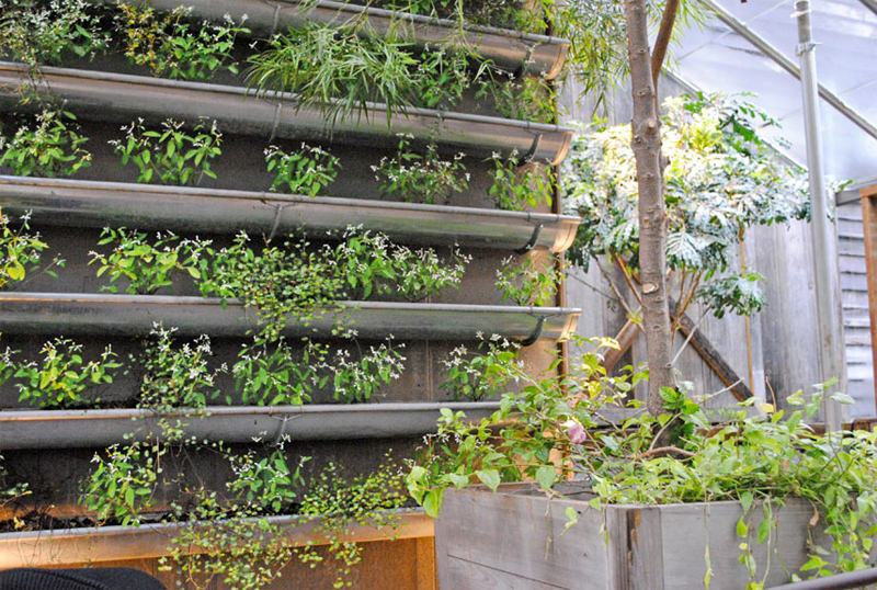 vertical garden ideas gutter vertical garden YHNFCJN