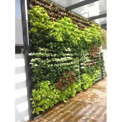 vertical garden vertical gardens ZXCZDIH