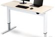 Amazon.com: Pneumatic Adjustable Height Standing Desk (48