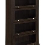 Amazon.com: Ameriwood Home Alton Alley 4 Shelf Barrister Bookcase