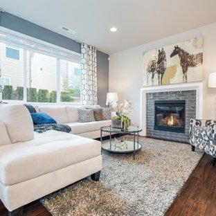 Blue Gray Living Room Ideas & Photos | Houzz