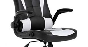 Home Office Desk Chairs | Amazon.com