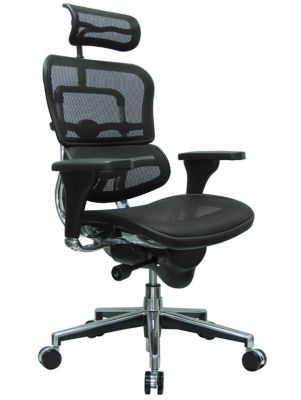 Ergohuman Mesh High Back Ergonomic Chair w/Headrest | OfficeChairs.com