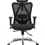 Amazon.com: Sihoo Ergonomic Office Chair, Computer Chair Desk Chair