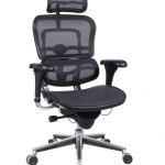 Eurotech Ergohuman ME7ERG Mesh Executive Chair with Headrest.