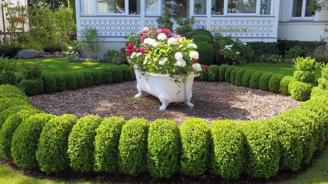 40 Awesome and Cheap Landscaping Ideas: #27 is Too Easy!