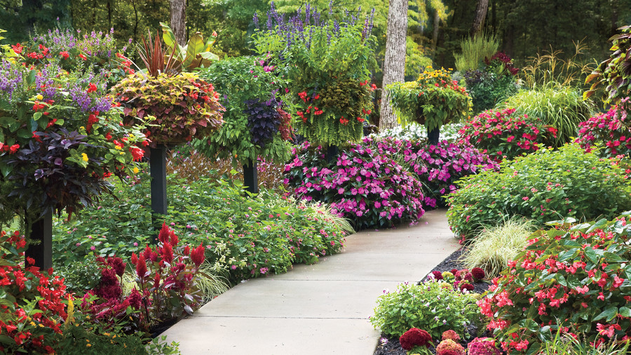 10 Best Landscaping Ideas - Southern Living