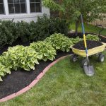 Low Maintenance Landscaping Ideas