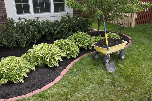 Low Maintenance Landscaping Ideas