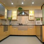 Latest Kitchen Designs | Lia Adriana